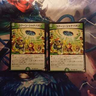 コクーン・シャナバガン