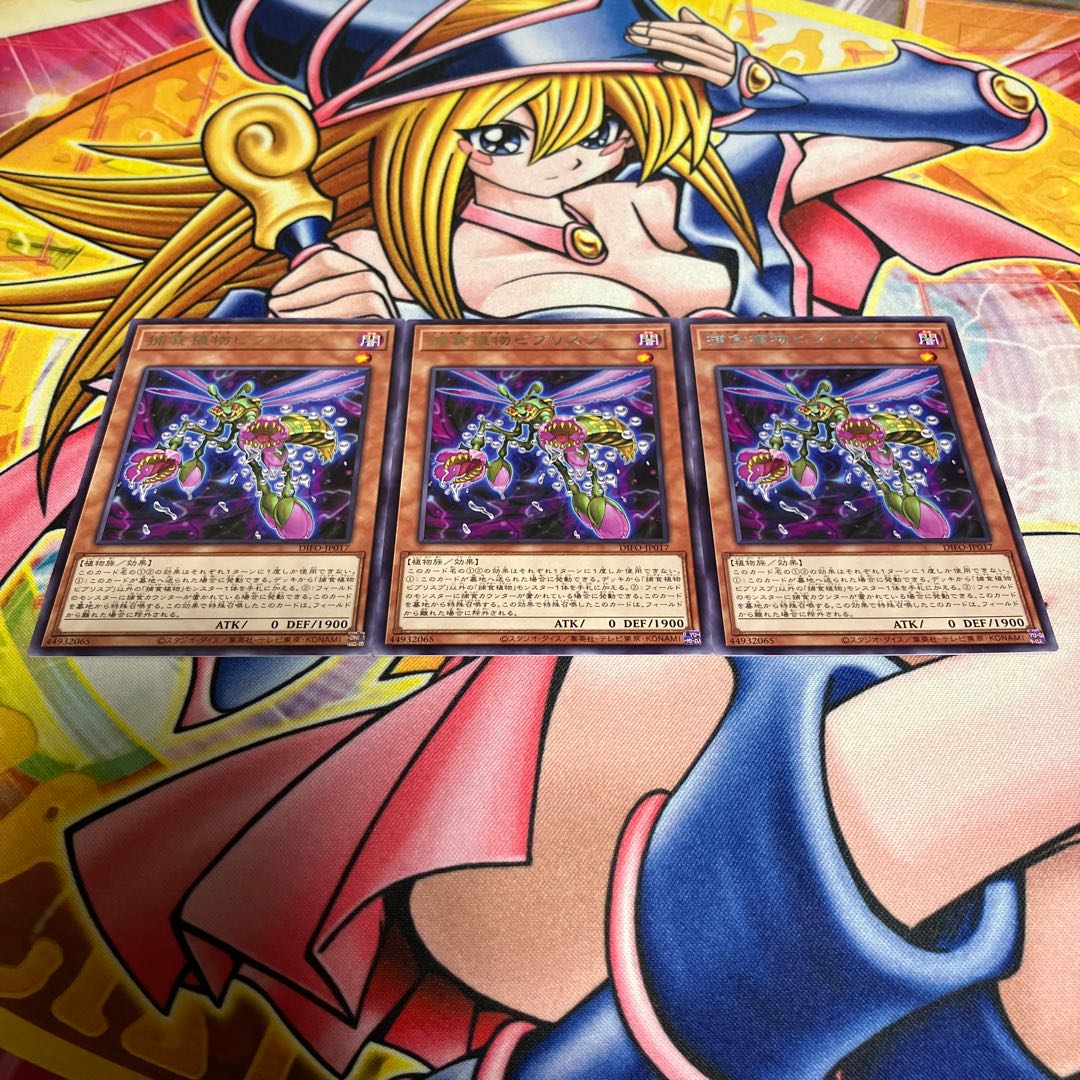 Prey Upon Plant Bib Squirrel Prey JP017