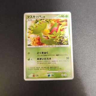 CarnivineLV.39 005/013