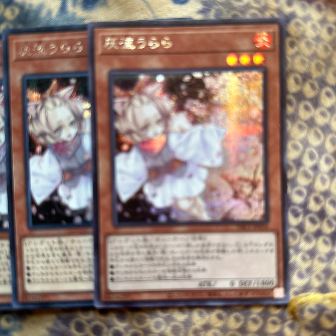 Ash Blossom & Joyous Spring 20 Sikh & PAC Normal Secret