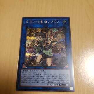 崔嵬の地霊使いアウス　シークレット