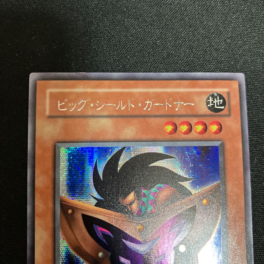 Big Shield Gardna Secret Rare 02 Special Price