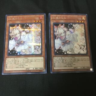 灰流うらら シク2枚 傷あり