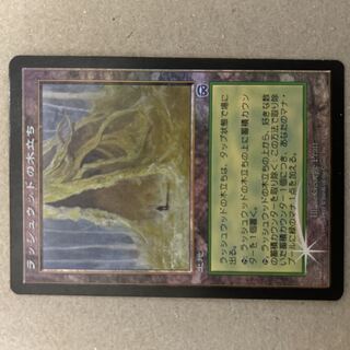 Foil] "Rushwood Grove/Rushwood Grove" [MMQ].