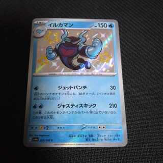 Dolphin Man S 229/190