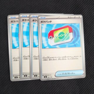 Dolphin Man S 229/190 4枚
