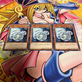 White Moray Normal JP018