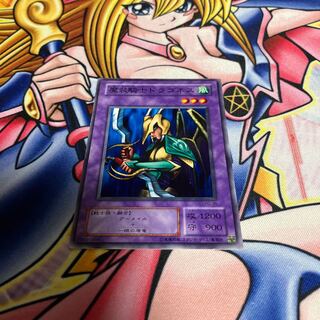 Dragoness the Wicked Knight