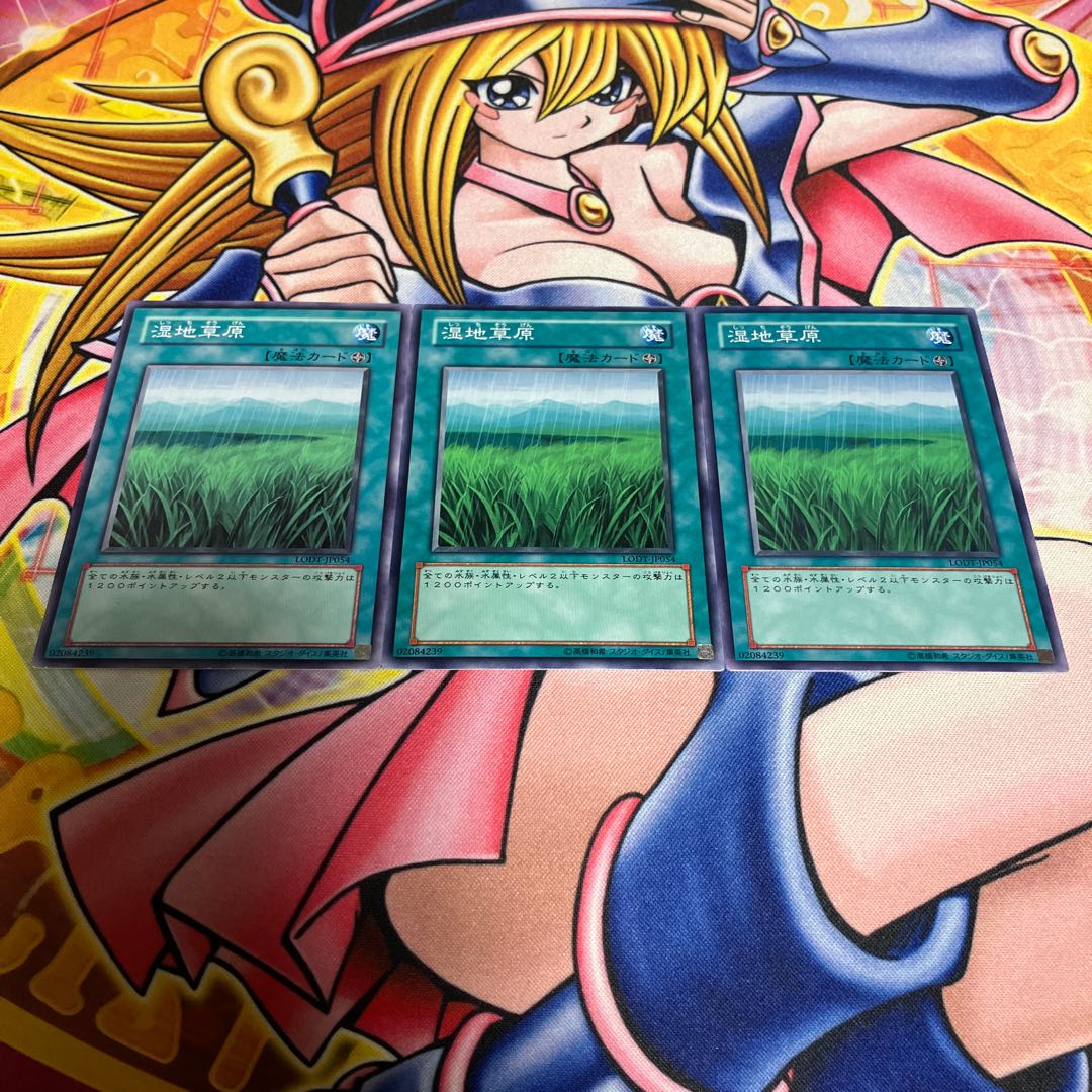 湿地草原 ノーマル JP054