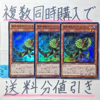 Prey Upon Plant Sandeukinjie Super x 3 cards Yu-Gi-Oh!