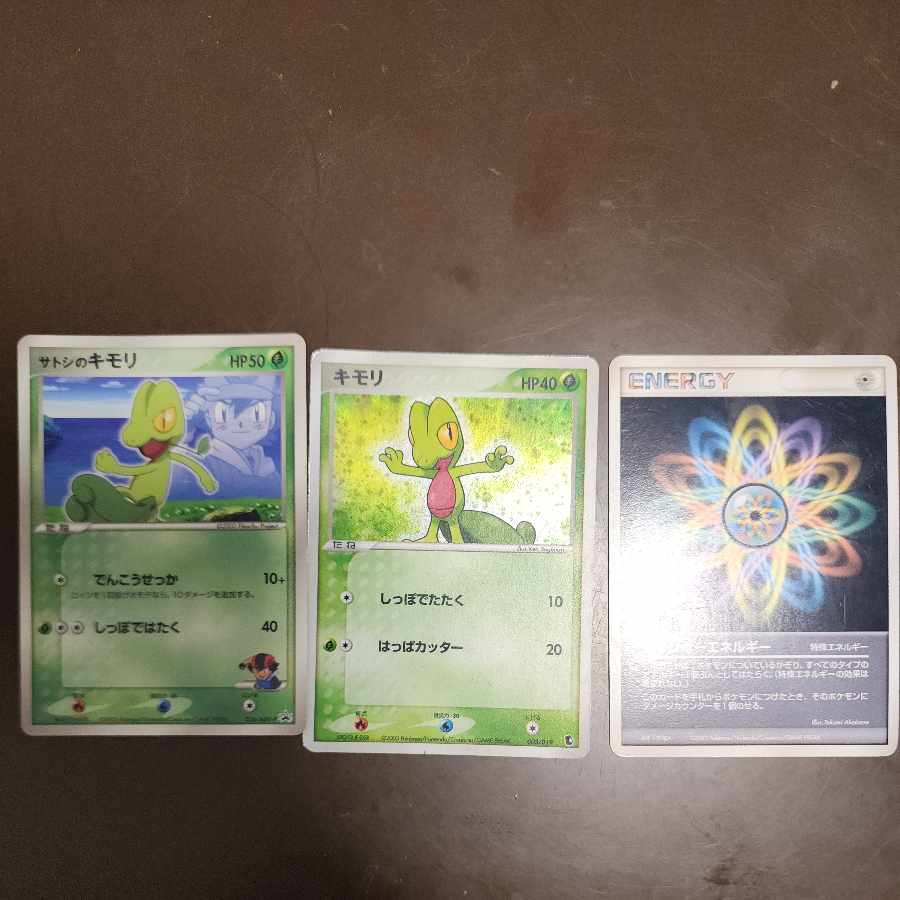 Pokéka Treecko Summary 1枚