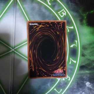 遊戯王福袋です。安価になります。