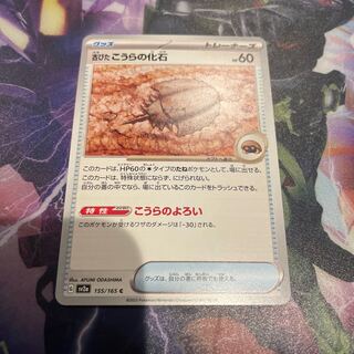 Old koura fossil C 155/165