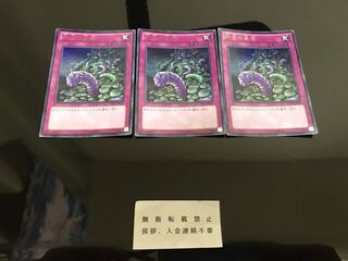 針虫の巣窟 ウルトラ ３枚