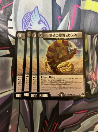 忍蛇の聖沌 c0br4