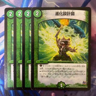 進化設計図 R 25/71