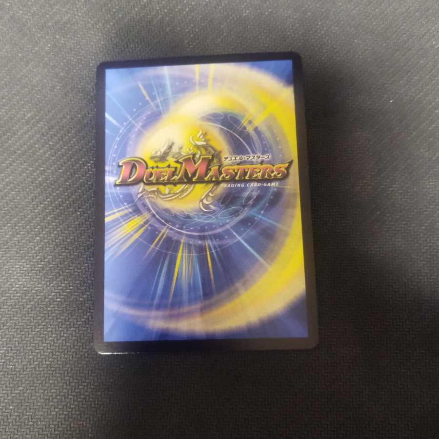 無双竜機ボルバルザーク SR 236/???　謎bbp