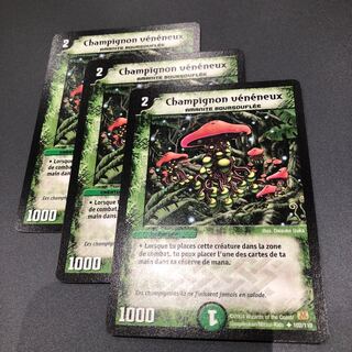 シビレアシダケ フランス語 3枚セット