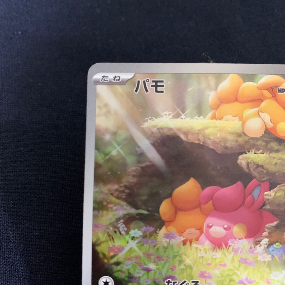 Pamo AR 340/190 1枚