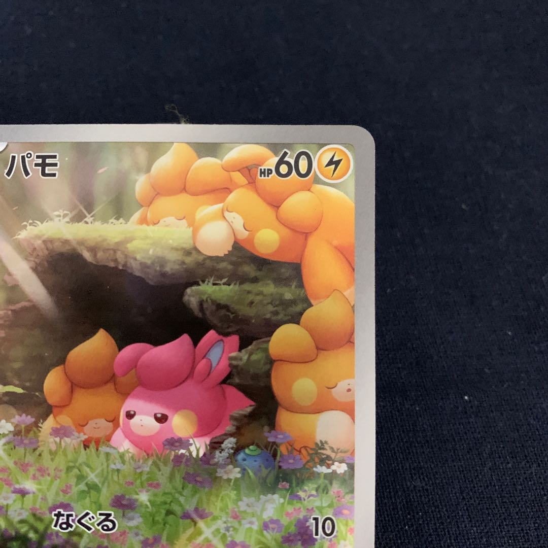 Pamo AR 340/190 1枚