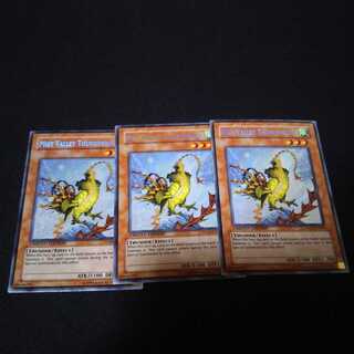 霞の谷の雷鳥 シク