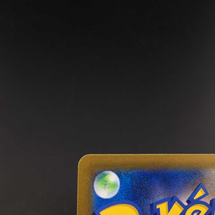 Pokémon Card Haunter Master Ball Mirror