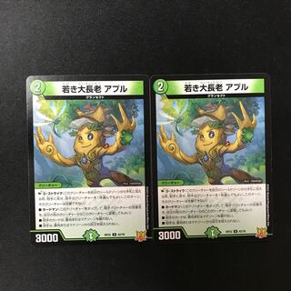 Young Grand Elder Apur U 42/76