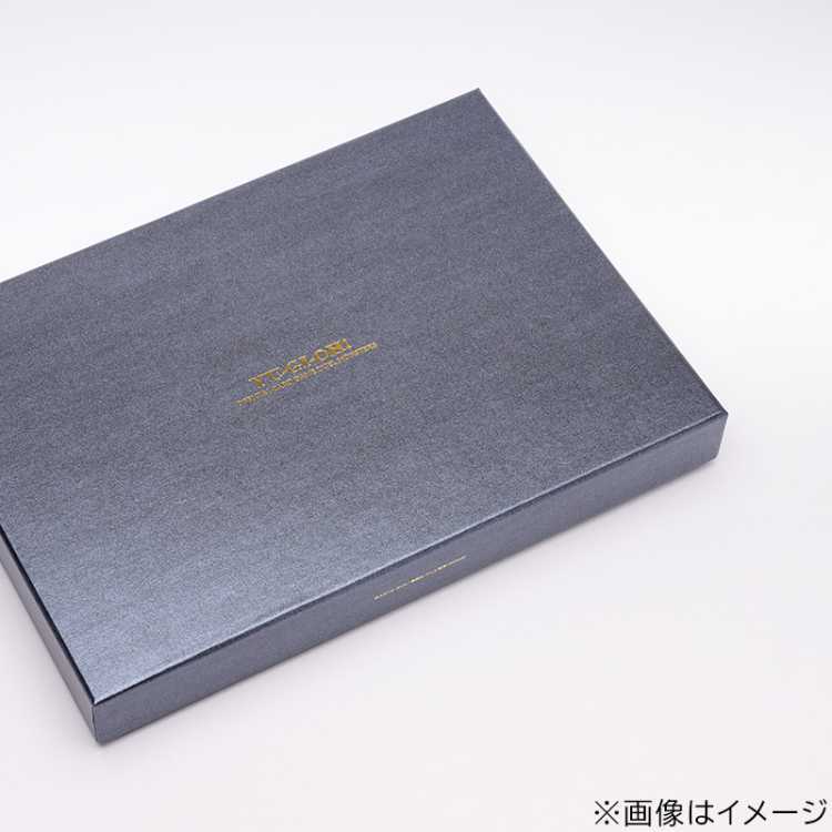 遊戯王OCGデュエルモンスターズ 「三幻神」スペシャルカードセット（ステンレス製）