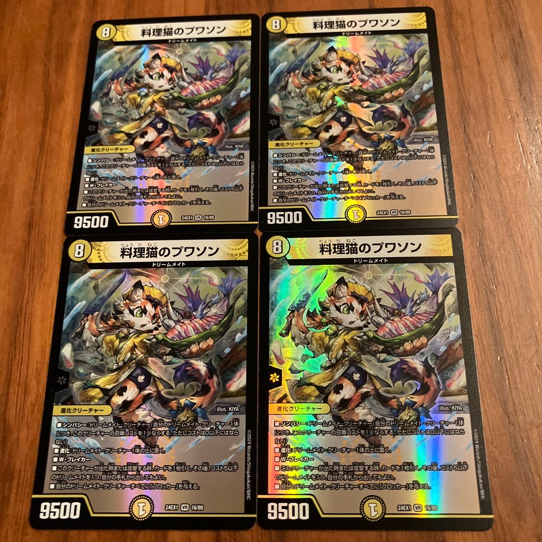 Cooking Cat Puisson VR 16/89