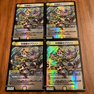 Cooking Cat Puisson VR 16/89