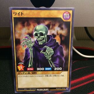 ワイト RD/KP01-JP009