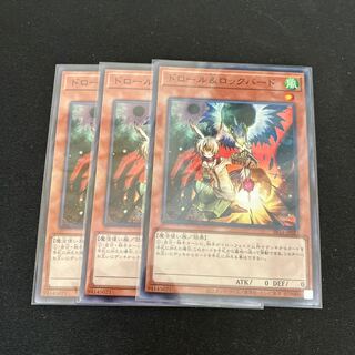 Drawl & Rockbird Normal 3 pieces Special Price