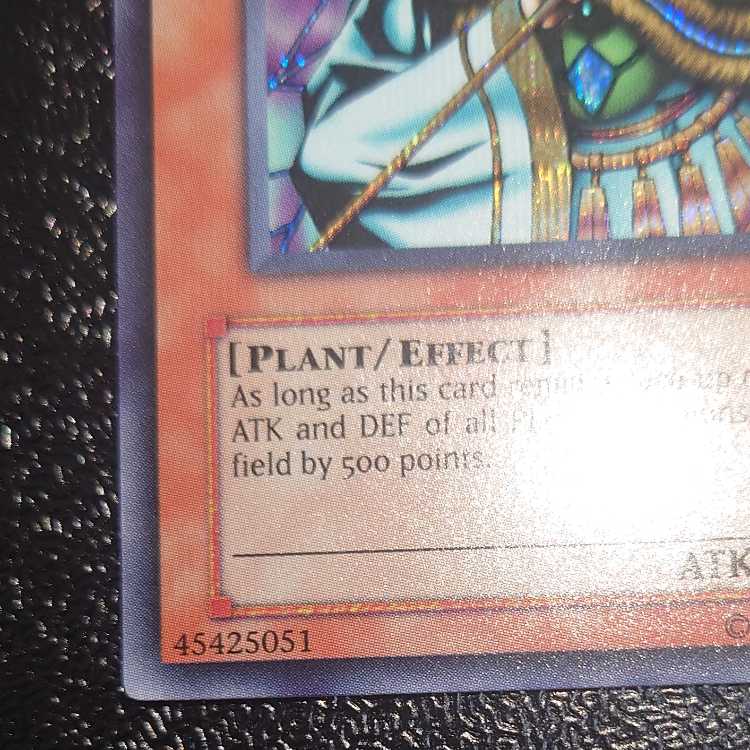 Fairy King Truesdale English Sikh WC4-001