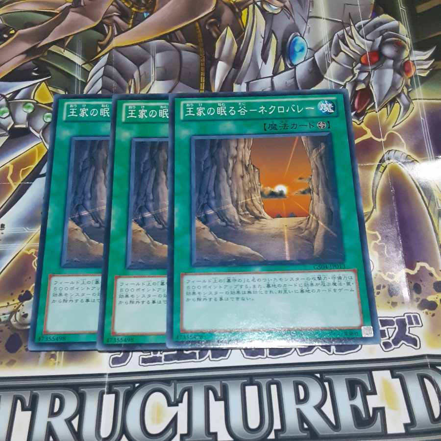 Valley of Sleep of Kings - Necro Valley Normal JP013