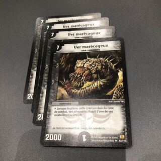 スワンプワーム フランス語 4枚セット