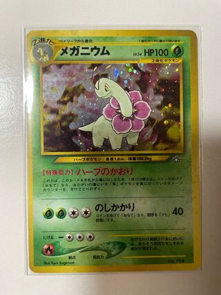 ポケモンカード 旧裏 メガニウム PSA10 ポケカ MEGANIUM ポケモンカード 旧裏 メガニウム PSA10 ポケカ MEGANIUM