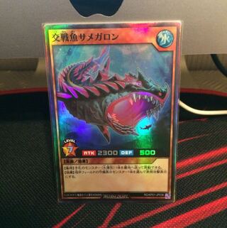 交戦魚サメガロン