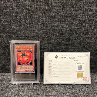 キラートマト　ノーマルパラ　ARS10