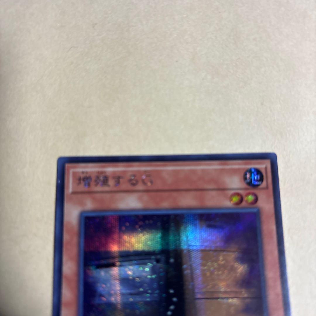 Maxx "C" Secret Rare JP005 Yu-Gi-Oh!