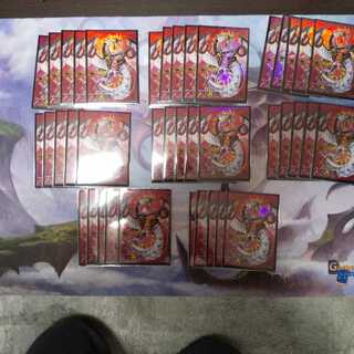 コロネ様専用 サイバードラゴンノヴァ スリーブ