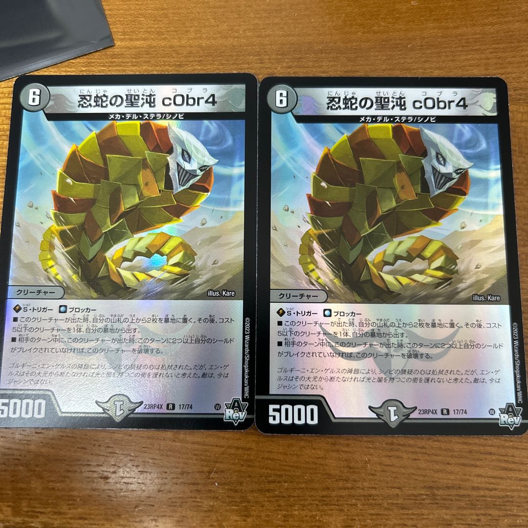 The Holy Chaos of the Ninja Serpent c0br4