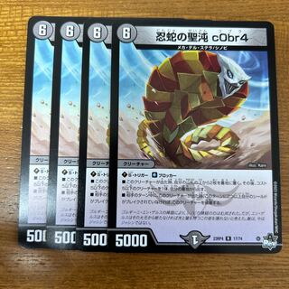 忍蛇の聖沌 c0br4