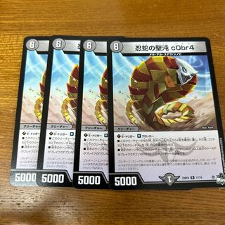 忍蛇の聖沌 c0br4