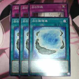 White Circulating Reef White Arbitration Normal