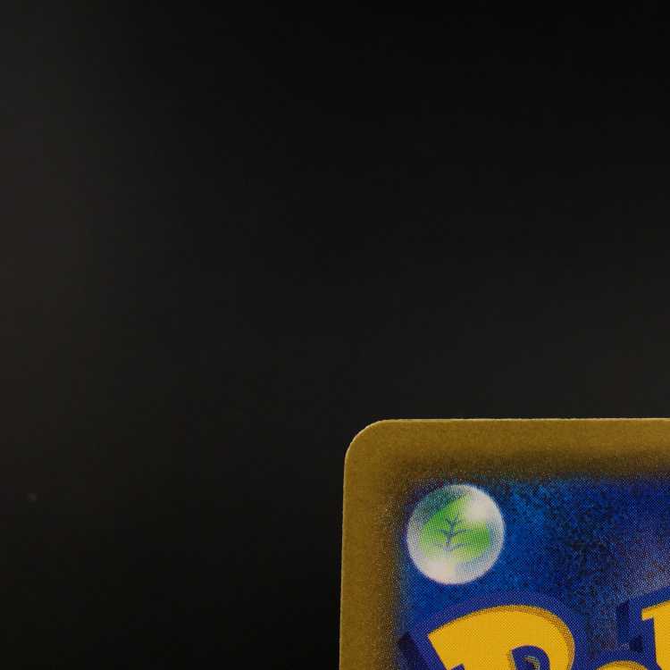 pokemon card pokemon chili sar