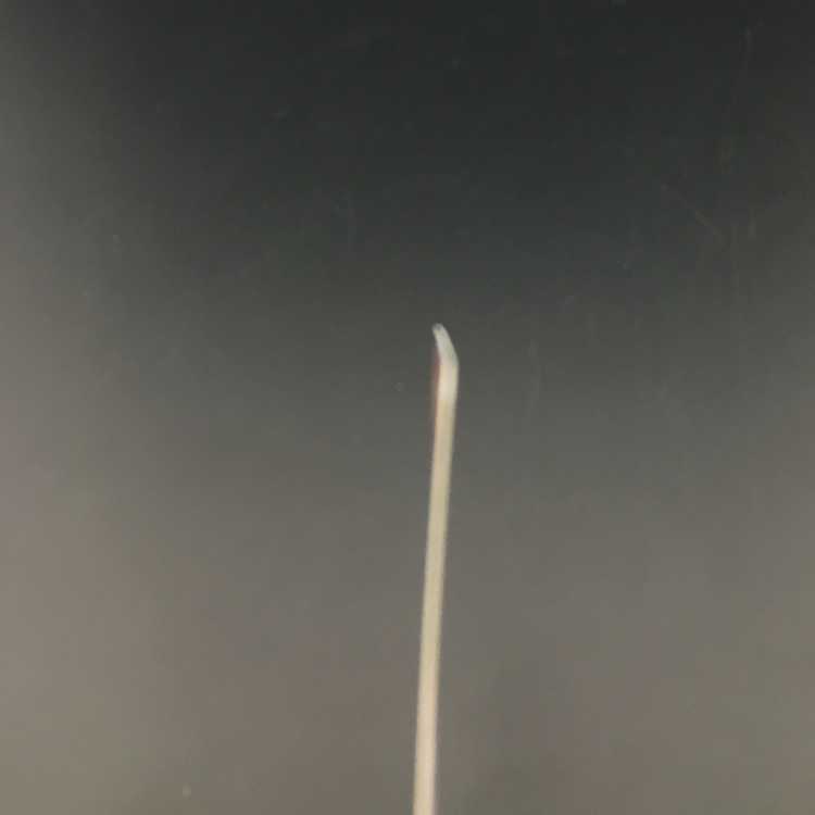 pokemon card pokemon chili sar