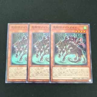 CST741 Darkness Awakening Master Knight Melt N