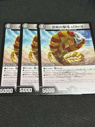 忍蛇の聖沌c0br4