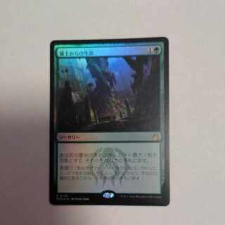 MTG 壌土からの生命　英語版　FOILトッパー MTG 壌土からの生命 英語版 FOILトッパー