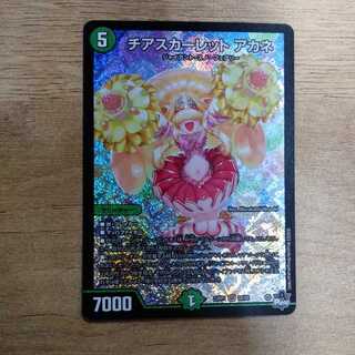 Cheer Scarlet Whitney SR S8/S8